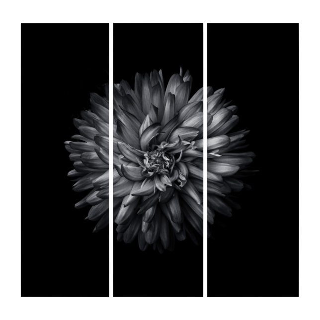 Backyard Flowers In Black And White 20 Triptych (Front)