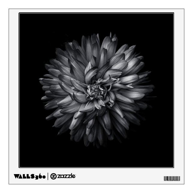 Backyard Flowers In Black And White 20 Wall Decal (Front)