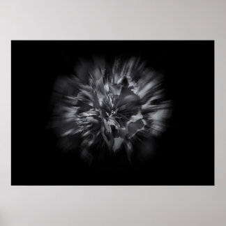 Backyard Flowers In Black And White 25 Flow Poster