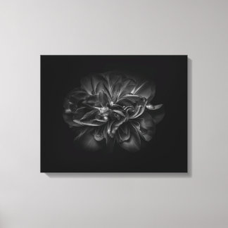 Backyard Flowers In Black And White 67 Canvas Print