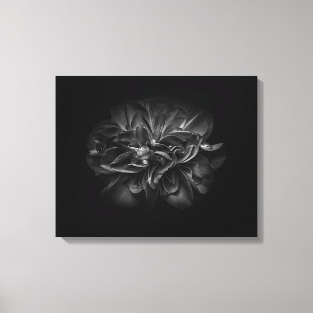 Backyard Flowers In Black And White 67 Canvas Print (Front)
