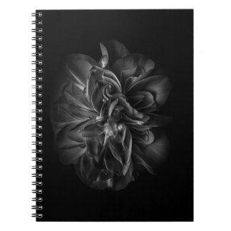 Backyard Flowers In Black And White 67 Notebook