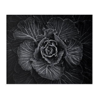 Backyard Flowers In Black And White No 108 Acrylic Print
