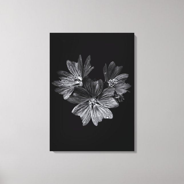 Backyard Flowers In Black And White No 11 Canvas Print (Front)