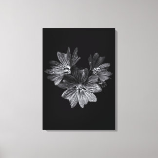 Backyard Flowers In Black And White No 11 Canvas Print