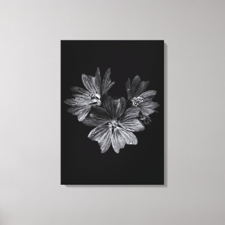 Backyard Flowers In Black And White No 11 Canvas Print