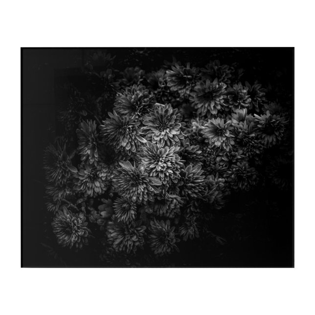 Backyard Flowers In Black And White No 29 Acrylic Print (Front)