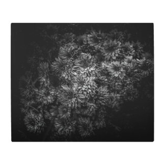 Backyard Flowers In Black And White No 29 Metal Print