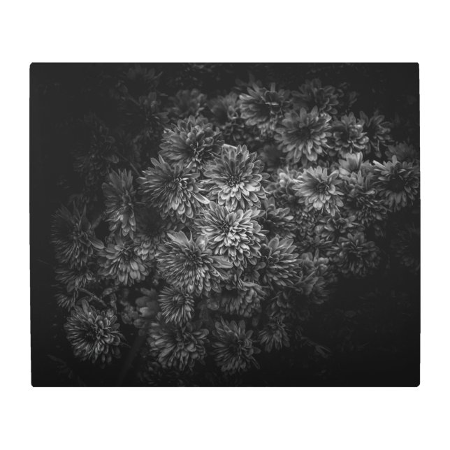 Backyard Flowers In Black And White No 29 Metal Print (Front)