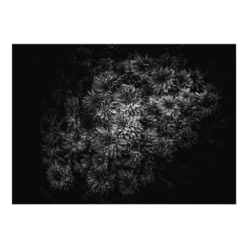 Backyard Flowers In Black And White No 29 Photo Print