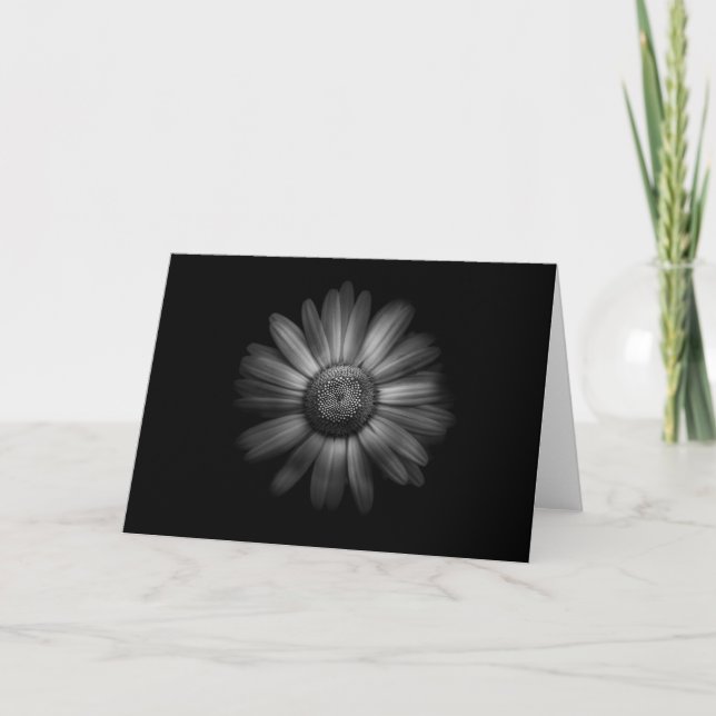 Backyard Flowers In Black And White No 31 Card (Front)