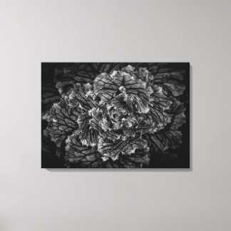 Backyard Flowers In Black And White No 42 Canvas Print