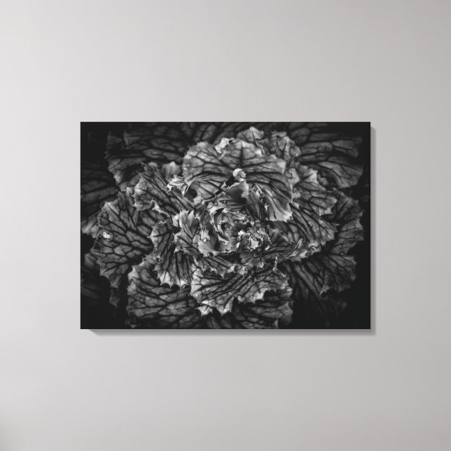 Backyard Flowers In Black And White No 42 Canvas Print (Front)