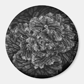 Backyard Flowers In Black And White No 42 Magnet