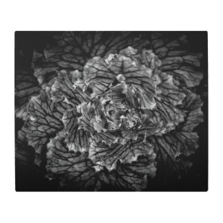 Backyard Flowers In Black And White No 42 Metal Print