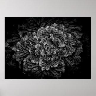 Backyard Flowers In Black And White No 42 Poster