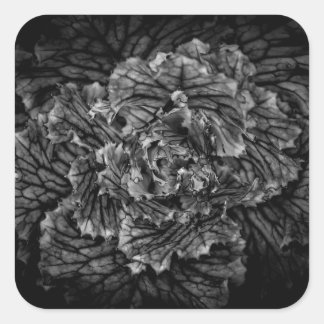 Backyard Flowers In Black And White No 42 Square Sticker