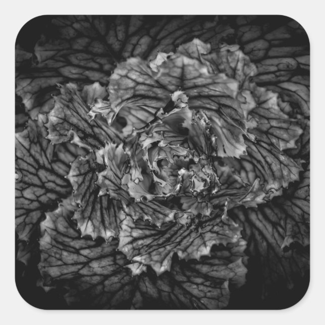 Backyard Flowers In Black And White No 42 Square Sticker (Front)