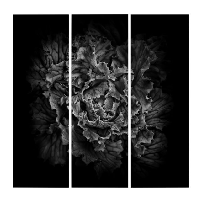 Backyard Flowers In Black And White No 43 Triptych (Front)