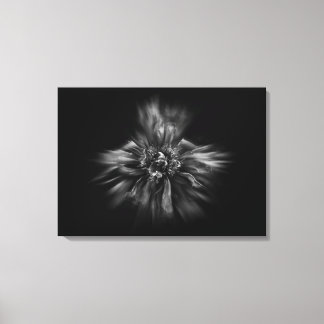 Backyard Flowers In Black And White No 49 Flow Canvas Print