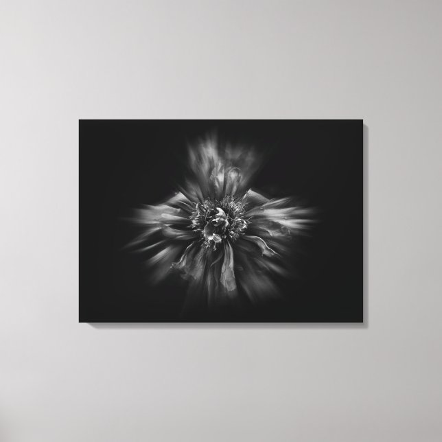Backyard Flowers In Black And White No 49 Flow Canvas Print (Front)