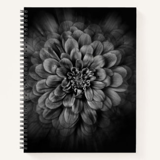 Backyard Flowers In Black And White No 54 Flow Notebook