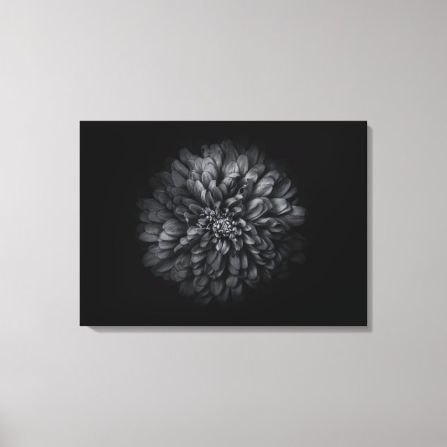 Backyard Flowers In Black And White No 68 Canvas Print (Front)