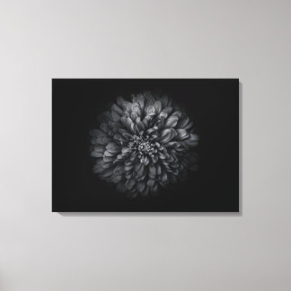 Backyard Flowers In Black And White No 68 Canvas Print