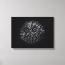 Backyard Flowers In Black And White No 68