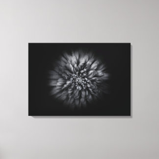 Backyard Flowers In Black And White No 68 Flow Canvas Print