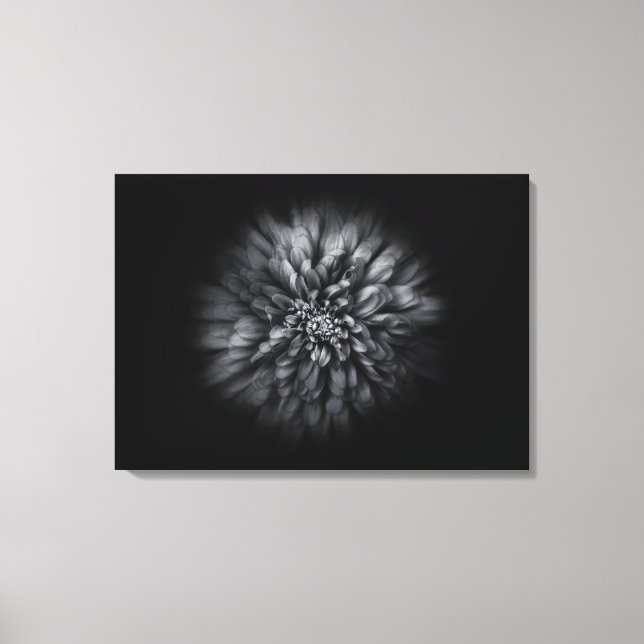 Backyard Flowers In Black And White No 68 Flow Canvas Print (Front)