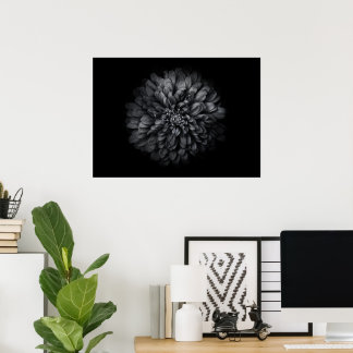 Backyard Flowers In Black And White No 68 Poster