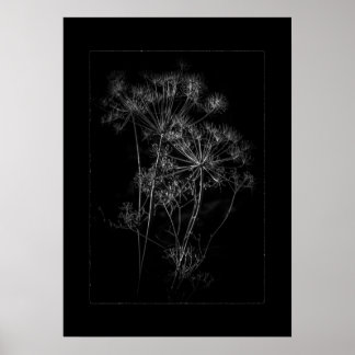Backyard Flowers In Black And White No 87 Border Poster
