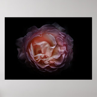 Backyard Flowers No 106 Color Version Poster