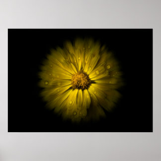 Backyard Flowers No 10 Color Flow Version Poster