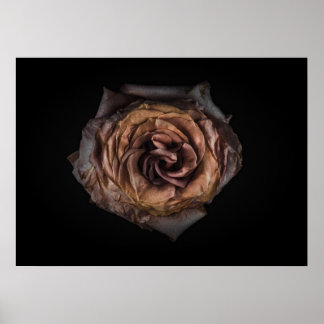 Backyard Flowers No 139 Color Version Poster