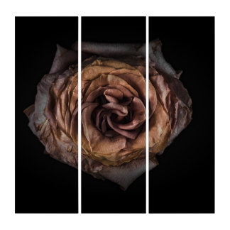 Backyard Flowers No 139 Color Version Triptych