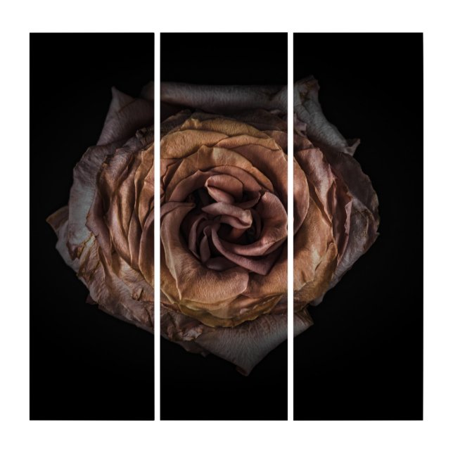 Backyard Flowers No 139 Color Version Triptych (Front)