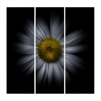 Backyard Flowers No 13 Color Flow Version Triptych