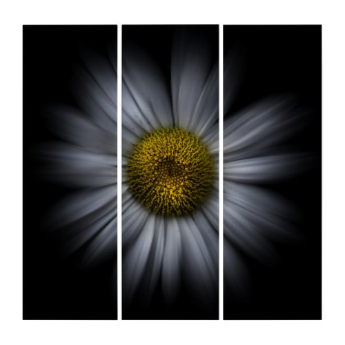 Backyard Flowers No 13 Color Flow Version Triptych