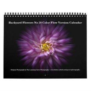 Backyard Flowers No 20 Color Flow Version Calendar