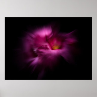 Backyard Flowers No 2 Color Flow Version Poster