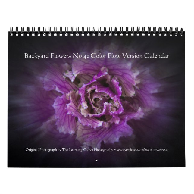 Backyard Flowers No 42 Color Flow Version Calendar (Cover)