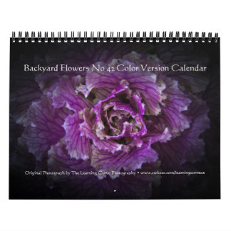 Backyard Flowers No 42 Color Version Calendar