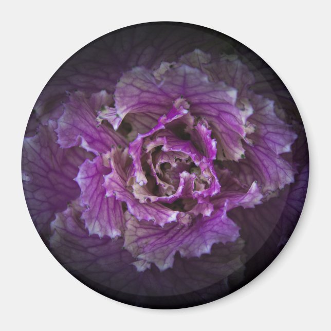 Backyard Flowers No 42 Color Version Magnet (Front)