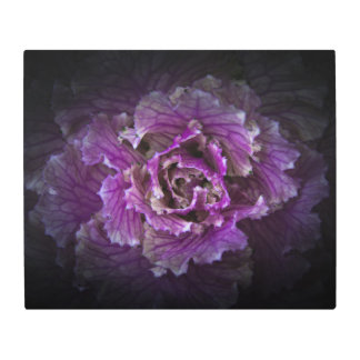 Backyard Flowers No 42 Color Version Metal Print