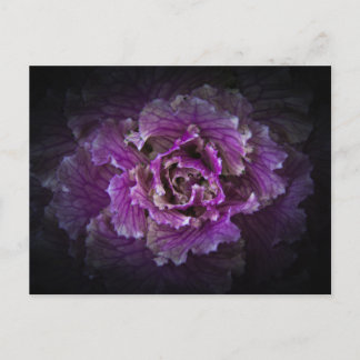 Backyard Flowers No 42 Color Version Postcard