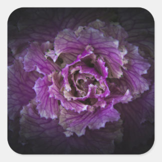 Backyard Flowers No 42 Color Version Square Sticker