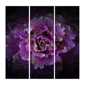 Backyard Flowers No 42 Color Version Triptych