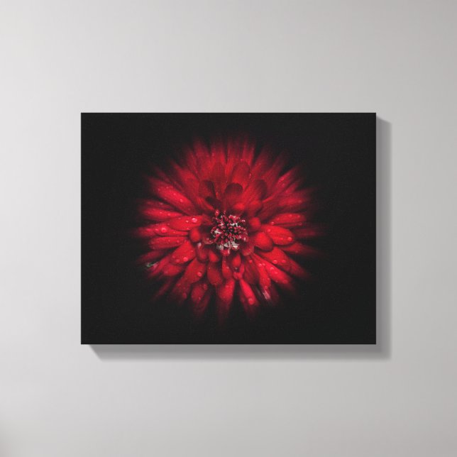 Backyard Flowers No 45 Color Flow Version Canvas Print (Front)